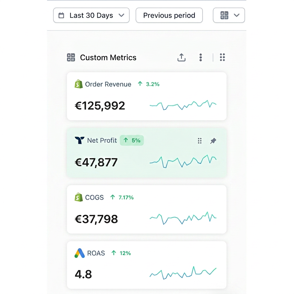 Dashboard Triple Whale